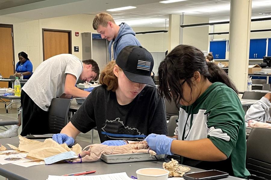 Two students participating in a crime scene investigation activity